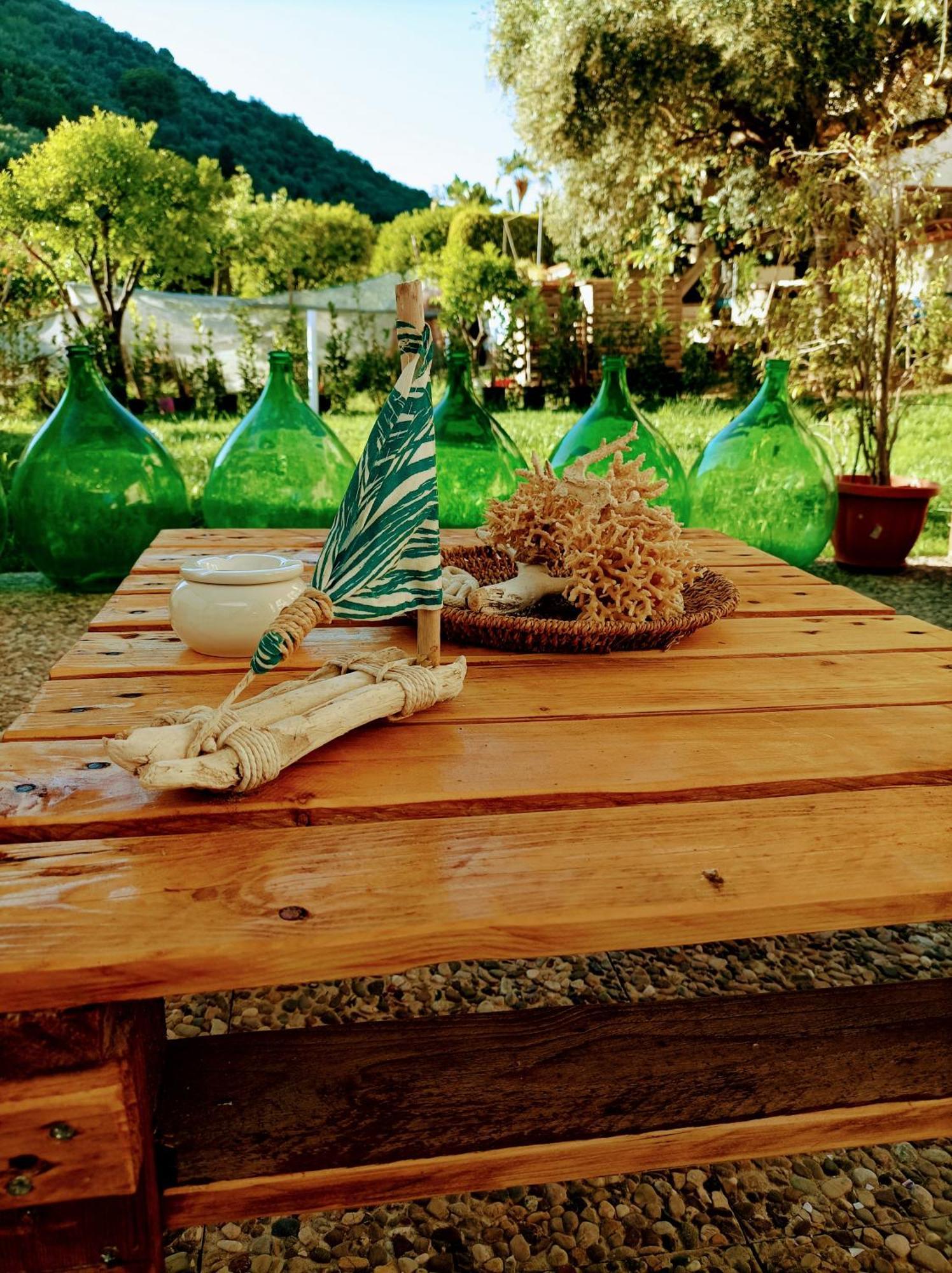 Bed and Breakfast Laris Castellabate Exteriér fotografie