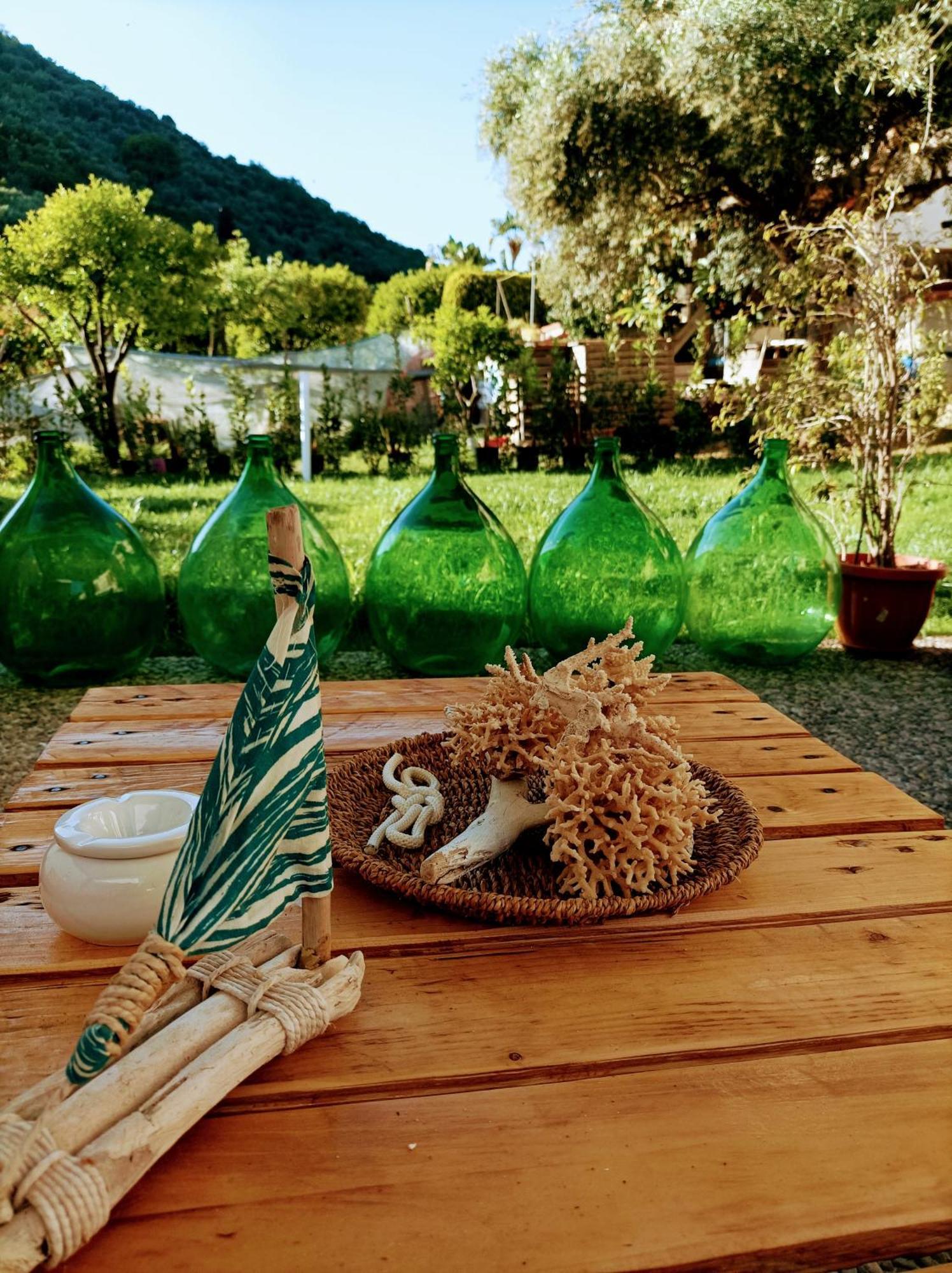 Bed and Breakfast Laris Castellabate Exteriér fotografie